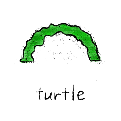 turtle